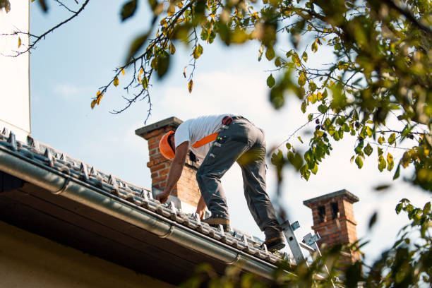 Best Roof Leak Repair  in Pleasureville, KY